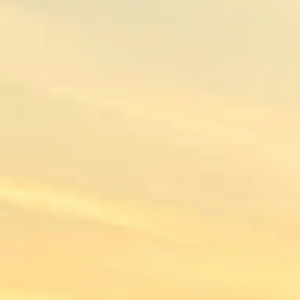 Meet your Posher, Talia